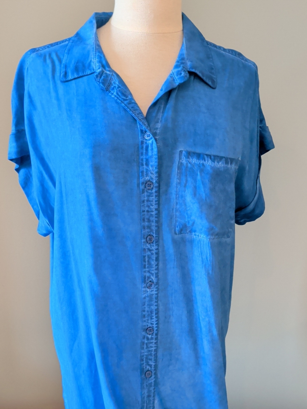 Velvet Heart Bright Blue Button Up Short Sleeve Shirt. Size Medium. NEW